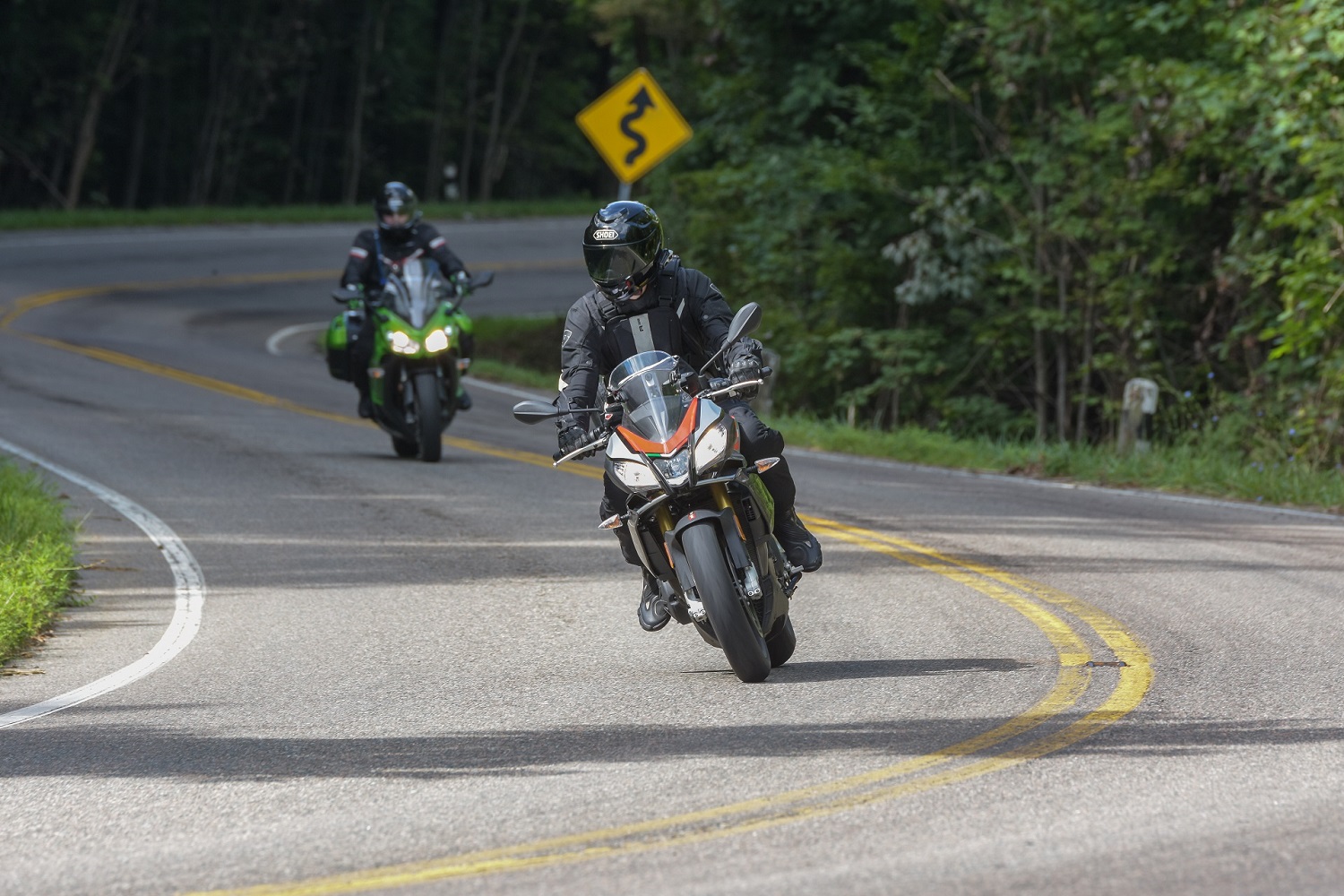 The Snake 2018 tennessee motorcycle ride.jpg 