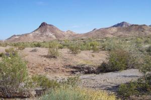 Quartzsite - Yuma Loop