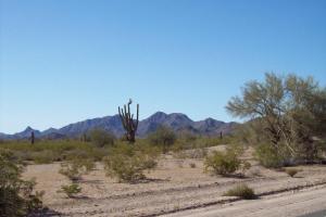 Wickenburg Road