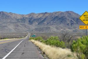 Cottonwood Canyon Run