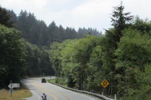 See The World's Smallest & Shortest - Tour (Highway 101)