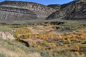 Piceance Creek by County Road 5